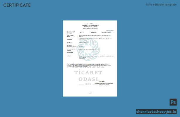 Türkei Istanbul Tätigkeitsbescheinigung im Word- und PDF-Format – Beispielvorschau